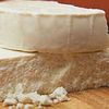 Williamsburg Cheese Manufacturer Issues Recall